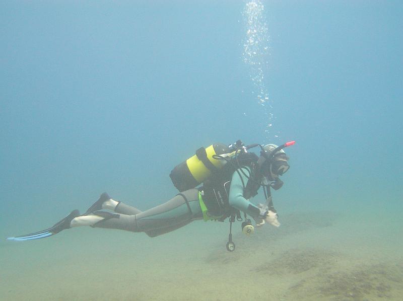 zeh-giglio-08 (34).JPG